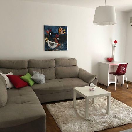 Apartment Safran Novigrad Istria Εξωτερικό φωτογραφία