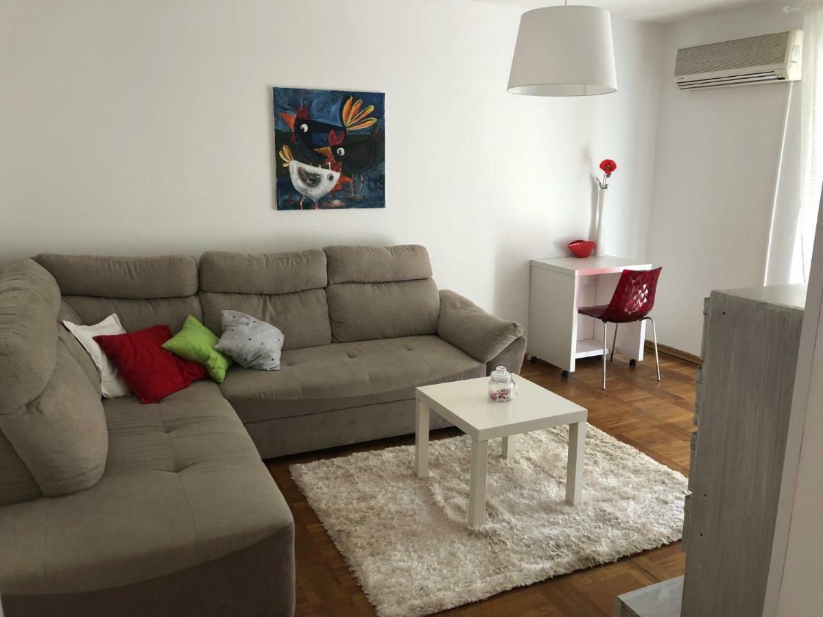 Apartment Safran Novigrad Istria Εξωτερικό φωτογραφία